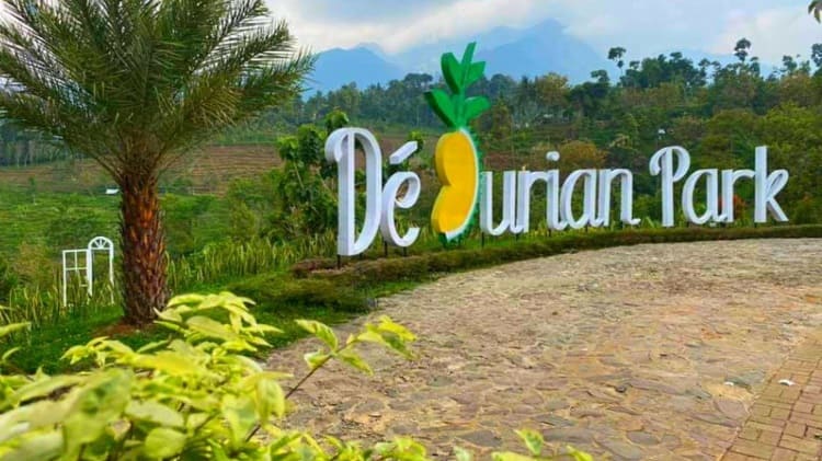 Agrowisata Kebun Durian