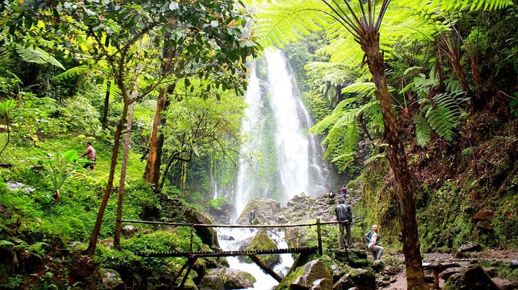 Air Terjun Pringgodani