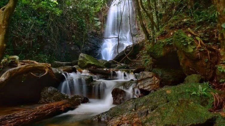 Air Terjun Sarasah Murai