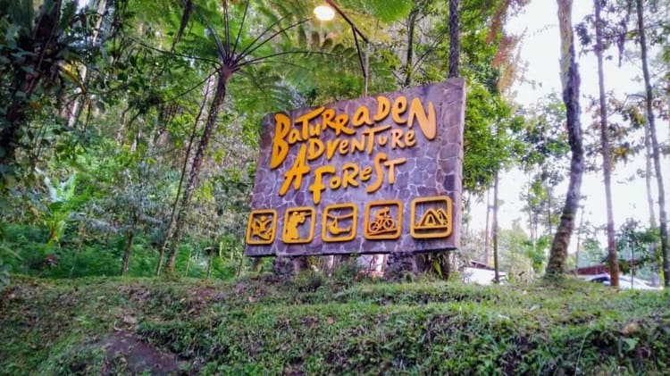 Baturaden Adventure Forest (BAF)