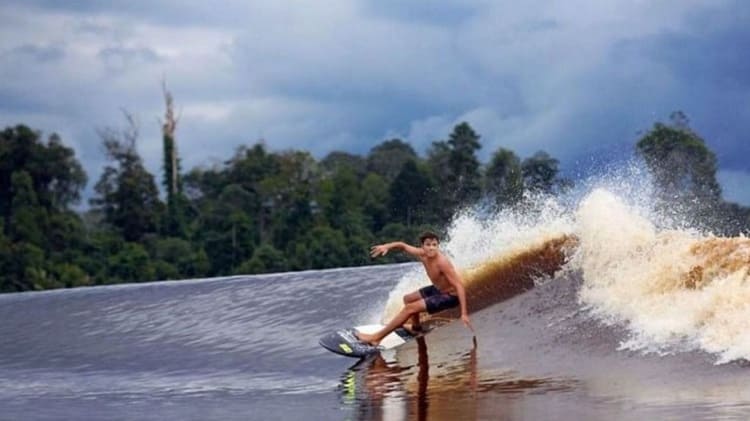 Bono Sungai Rokan