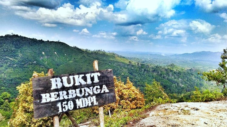 Bukit Berbunga