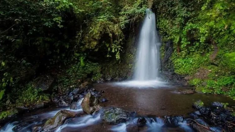 Curug Citiis