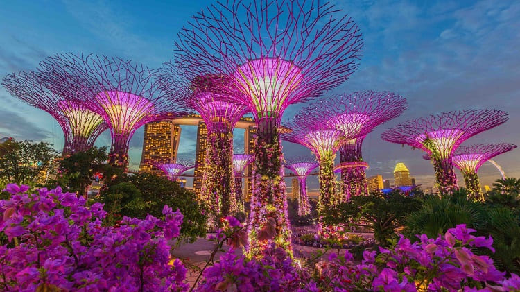 Gardens by the Bay