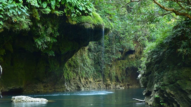 Green Canyon Gumalo