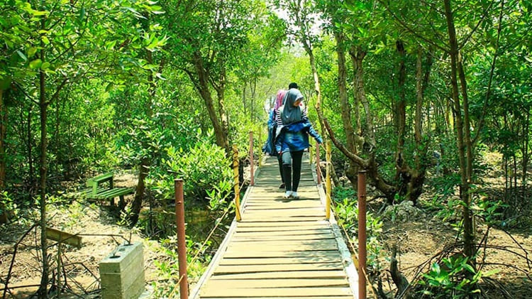 Hutan Konservasi Dumai