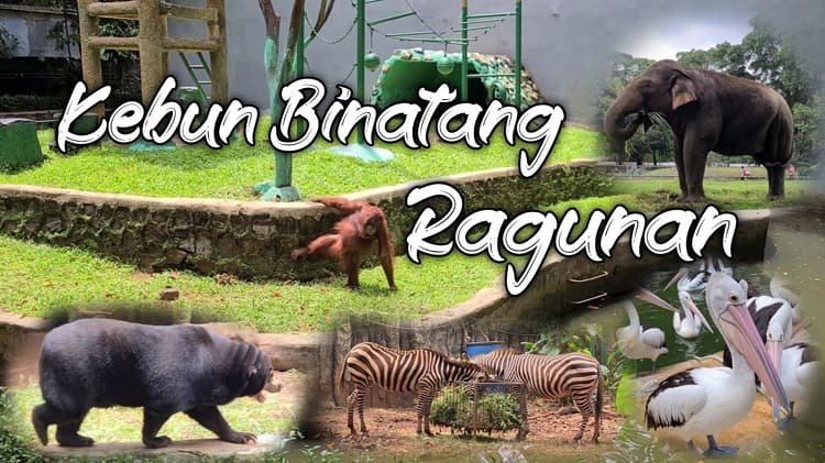 Kebun Binatang Ragunan