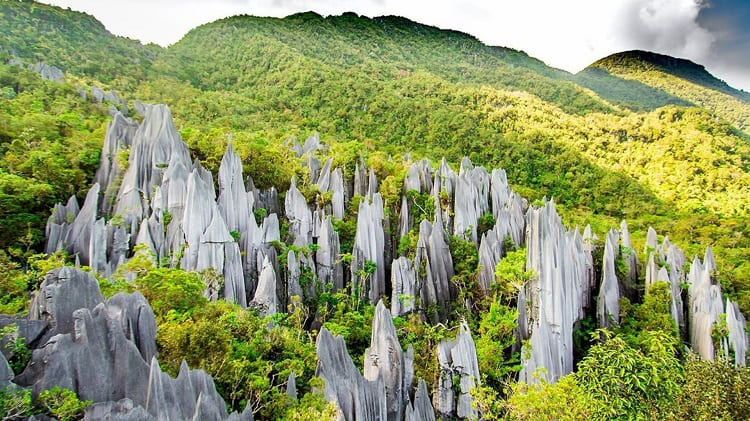 Mulu National Park