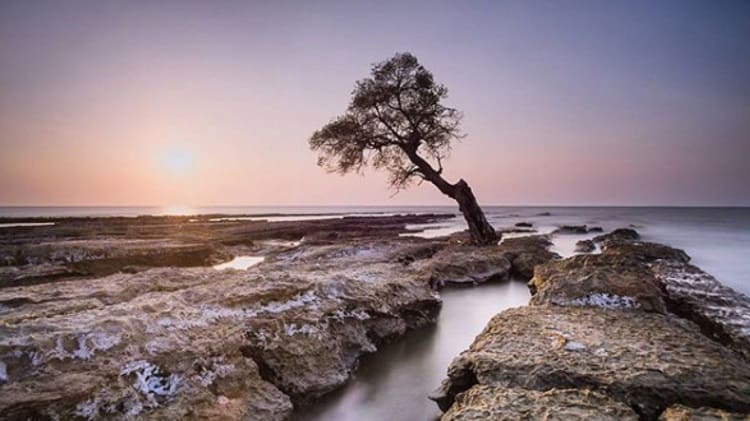 Pantai Kuri Caddi