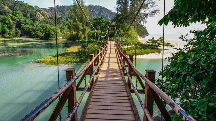 Penang National Park