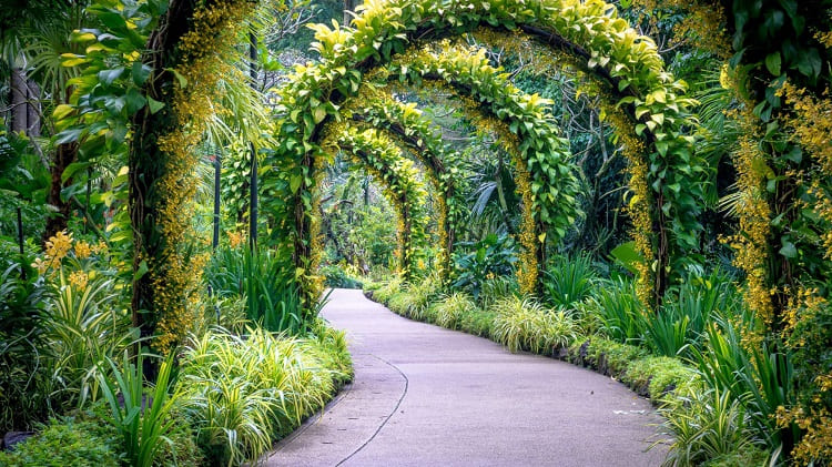 Singapore Botanic Gardens