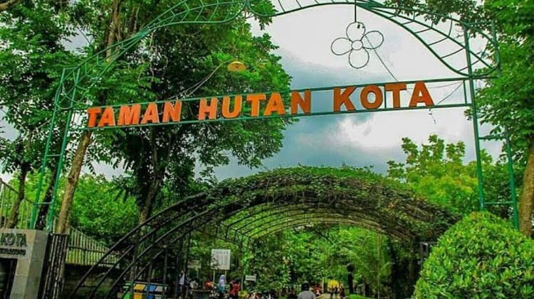 Taman Hutan Kota