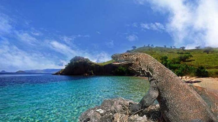 Taman Nasional Komodo