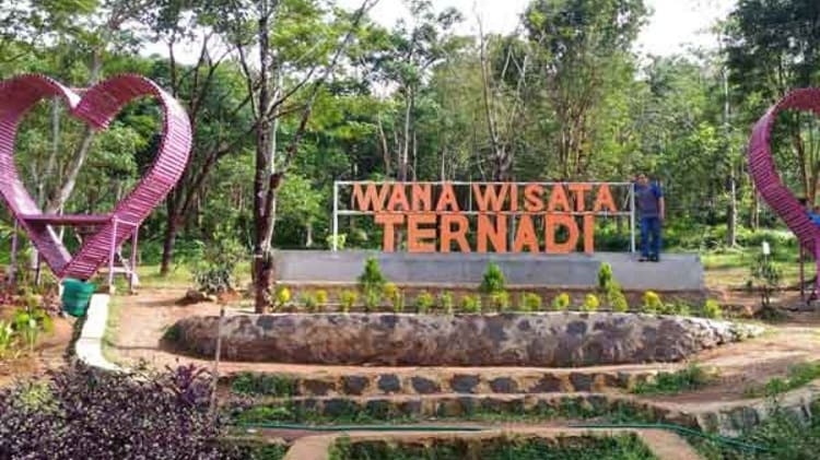 Wana Wisata Ternadi